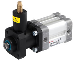 ISO kompakt çift etkili silindir, iç dişli, kilitleme ünitesi, 50 mm çap, 30 mm strok