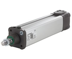 Smoothline silindir (valfsiz), 63 mm çap, 250 mm strok, ATEX sertifikalı