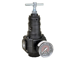 Excelon genel amaçlı basınç regülatörü, 3/4 PTF, 0,7-17 bar, göstergeli