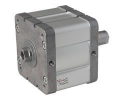 ISO kompakt çift etkili silindir, iç dişli, çift uçlu piston kolu, 125 mm çap, 30 mm strok