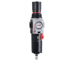 Excelon Plus filtre/regülatör, 3/8 NPT, 5 µm, 0,3-4 bar, otomatik tahliye, göstergeli