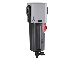 Excelon Plus genel amaçlı filtre, 3/4 PTF, 40 µm, manuel drenaj, koruma ile